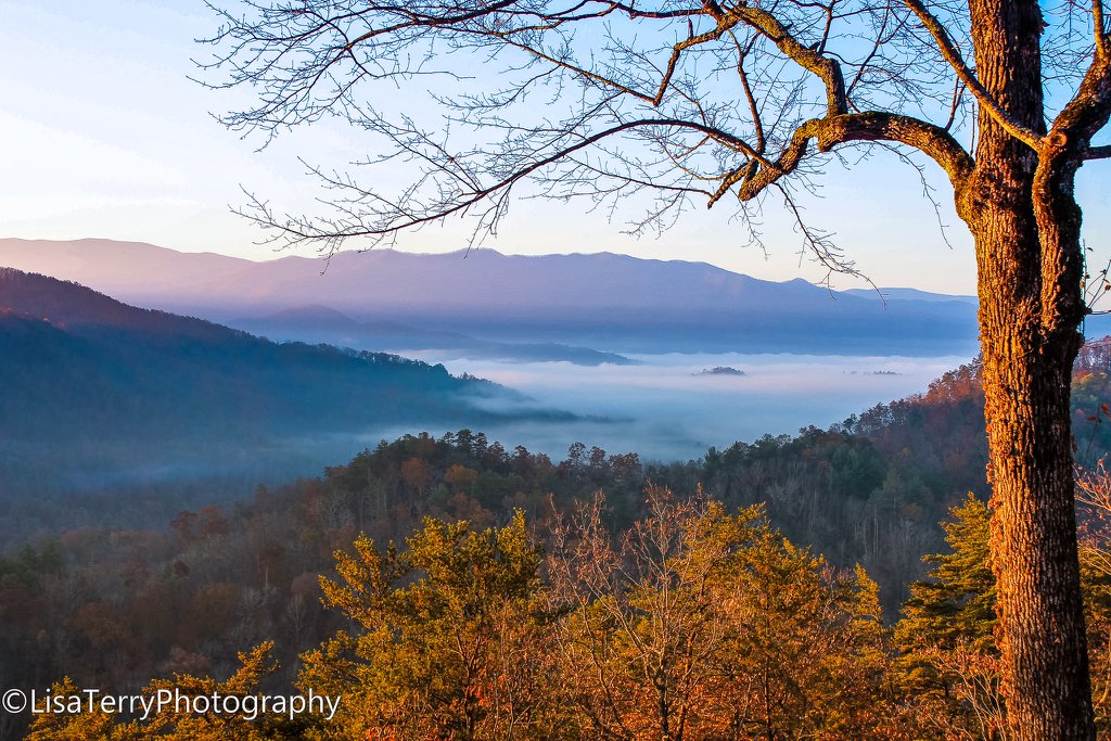 Morning fog resting between the ridges of the Smoky Mountains